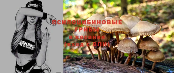 ECSTASY Гусиноозёрск