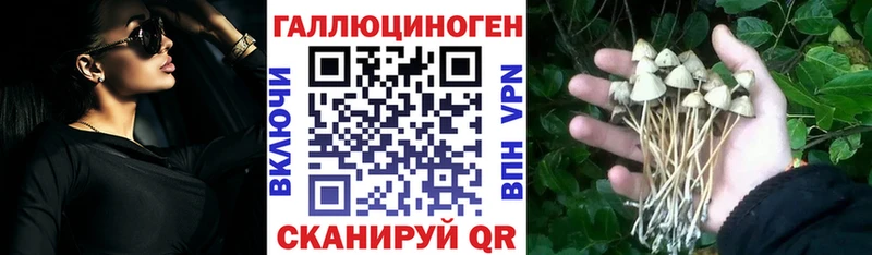 Псилоцибиновые грибы Psilocybe  где найти наркотики  блэк спрут ссылка  Нерюнгри 