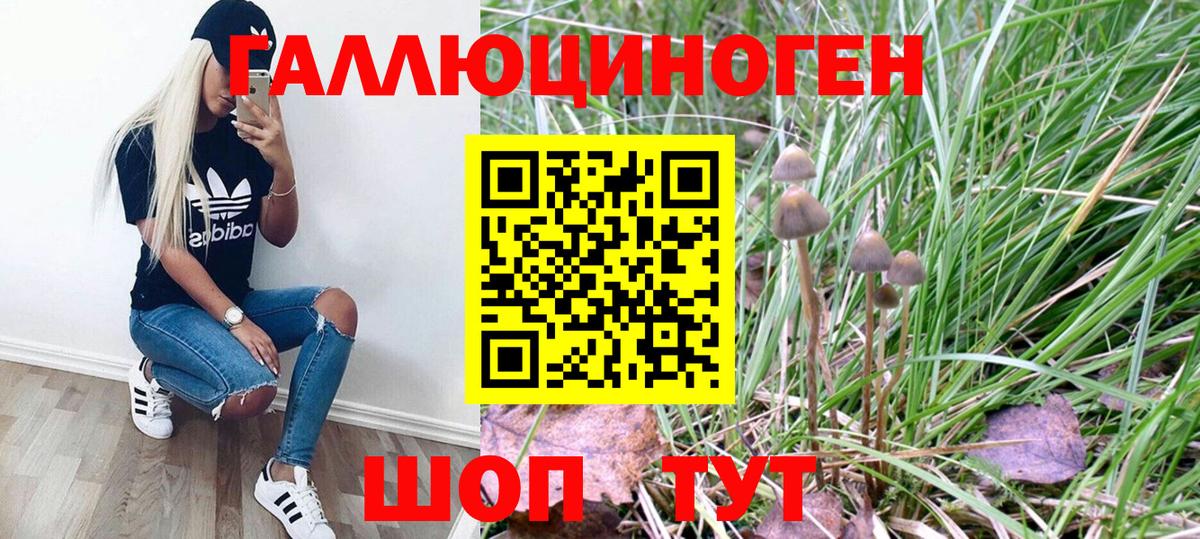 Галлюциногенные грибы мухоморы Нерюнгри